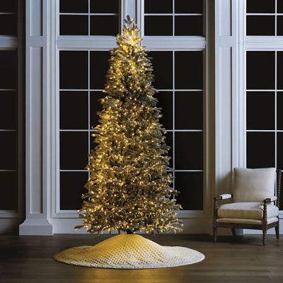 Snowdrift Noble Fir Tree | Frontgate