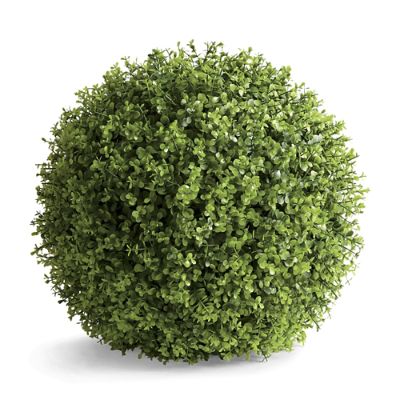 Boxwood Greenery Balls