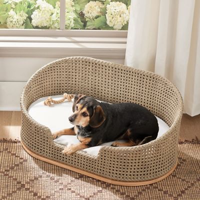 Frontgate dog beds hotsell