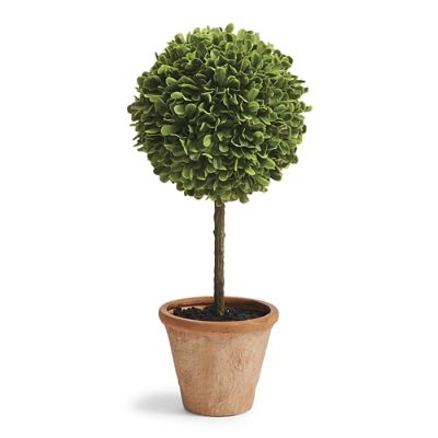Outdoor Boxwood Topiary | Frontgate
