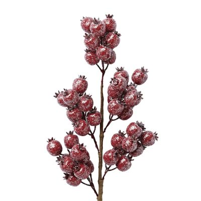 Snowy Crabapple Stems, Set of Six | Frontgate