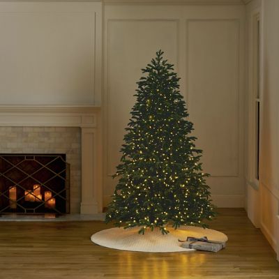 Rocky Mountain Noble Pine Full Profile Quick-Light Tree with Warm