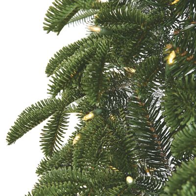 Noble - 新品　NOBLE 【COGTHEBIGSMOKE】 PINE TOP Rocky Mountain Noble Pine Full Profile Quick-Light Tree with Warm