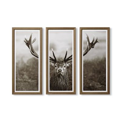 Majestic Stag Triptych | Frontgate