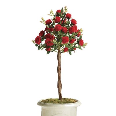 Red Rose Bush Topiary Frontgate