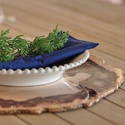 Petrified Wood Charger | Frontgate