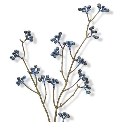 Blueberry Sprays, Set of Six Frontgate