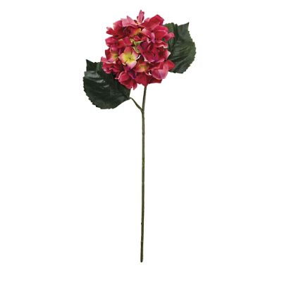 Hydrangea4936　0807指定18日 Full Blossom Hydrangea Stems, Set of Six | Frontgate