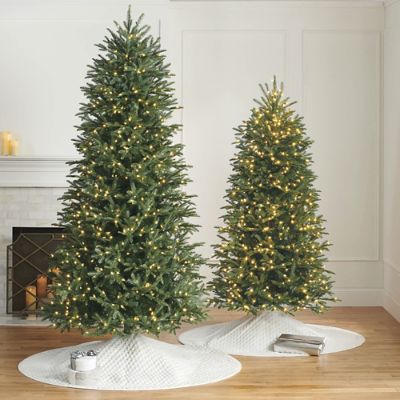 Windsor Noble Fir Slim Profile Tree | Frontgate