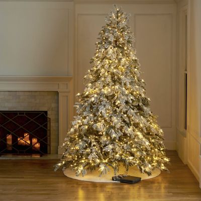 Frosted Canterbury Fir Tree with Warm White LED Lights