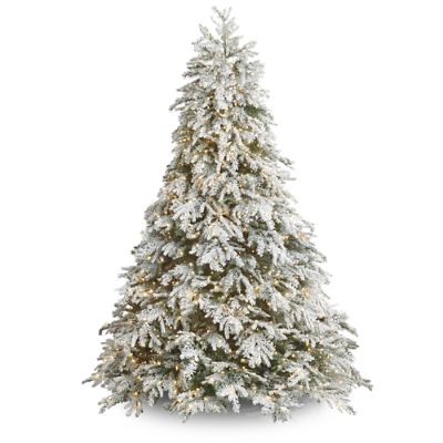 Image of 7.5ft Frosted Canterbury Fir Christmas Tree
