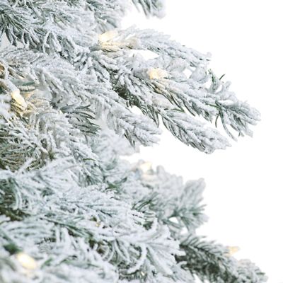 Image of 7.5ft Frosted Canterbury Fir Christmas Tree