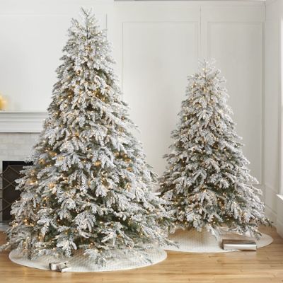 Frosted Canterbury Fir Tree | Frontgate