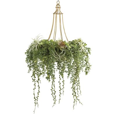 Outdoor Succulent Chandelier | Frontgate