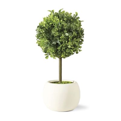 Outdoor Tabletop Boxwood Topiary Frontgate