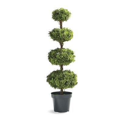 ◆フィッティング 彫刻 Pair BoxWood 4/4 ◇フィッティング 彫刻 Pair BoxWood 4/4 ◇フィッティング 彫刻