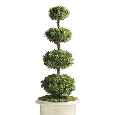 ◆フィッティング 彫刻 Pair BoxWood 4/4 179255_main?$wfih$