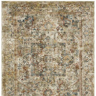 Cameron Performance Area Rug with Fade & Stain Resistance for Indoor Use