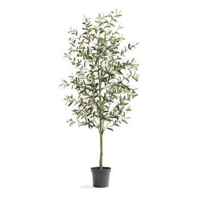 Indoor/Outdoor Olive Tree with Lifelike Foliage & UV Protection