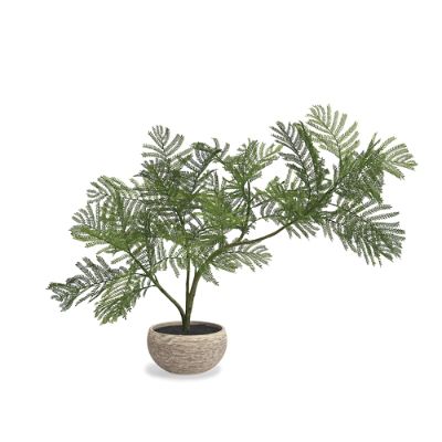 Indoor/Outdoor Tabletop Fern with Lifelike Foliage & Faux Terra Cotta Pot