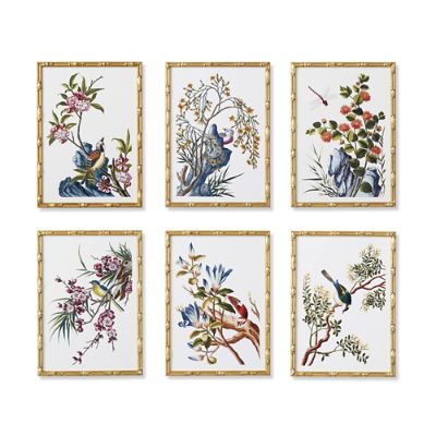BOTANICAL ART 【import品】 New York Botanical Garden Buchoz Botanical Prints with