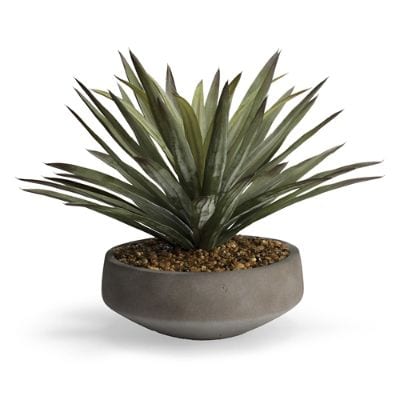 Agave in Newport Bowl | Frontgate