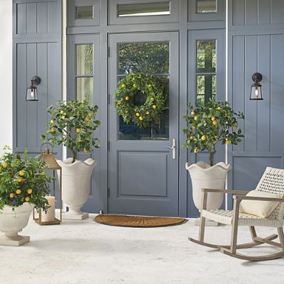 Lemon Grove Urn Filler | Frontgate