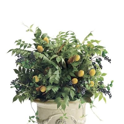 Lemon Grove Urn Filler | Frontgate