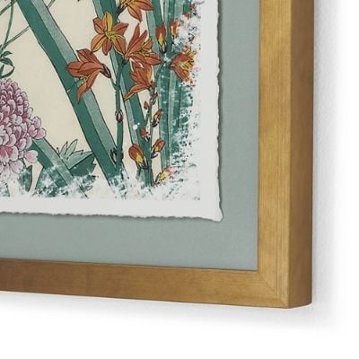 Vintage Botanical Prints | Frontgate