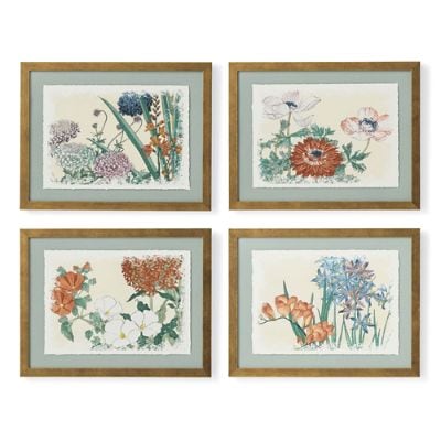 Vintage Botanical Prints | Frontgate