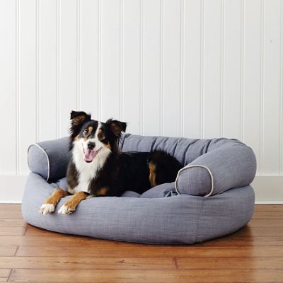 comfy couch dog bed