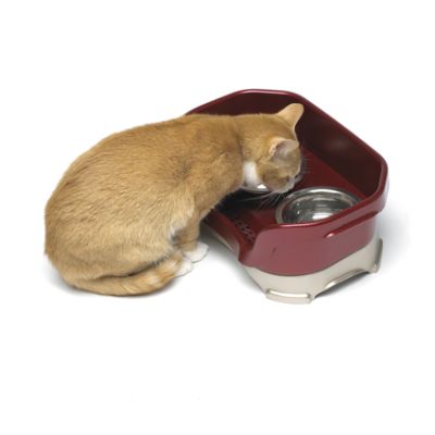 Frontgate dog 2025 proof cat feeder