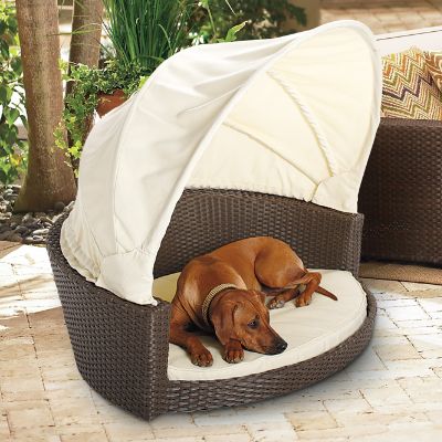 Outdoor Wicker Pet Bed with Canopy | Frontgate