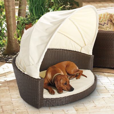 Outdoor Wicker Pet Bed with Canopy Frontgate