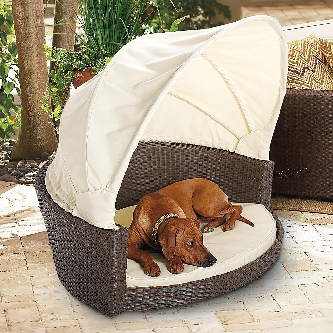 Outdoor Wicker Pet Bed With Canopy, Outdoor Bed With Canopy For Dogs