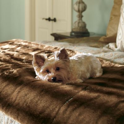 Luxe Faux Fur Pet Throw Frontgate
