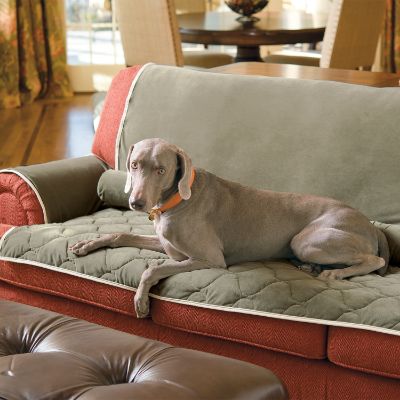 Quilted Pet Couch Protector With Nano Tex Frontgate