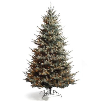Colorado Blue Spruce Christmas Tree with Traditional Stand Frontgate
