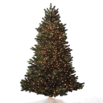 Austrian Pine Christmas Tree | Frontgate
