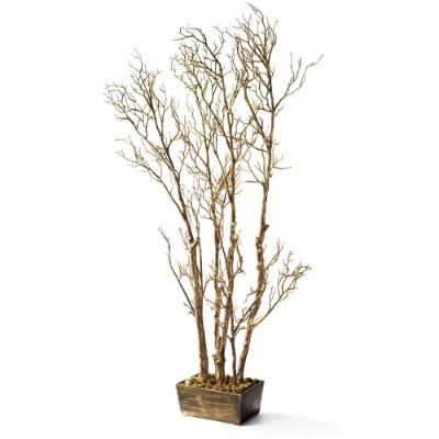 Manzanita Branches in Pot Frontgate