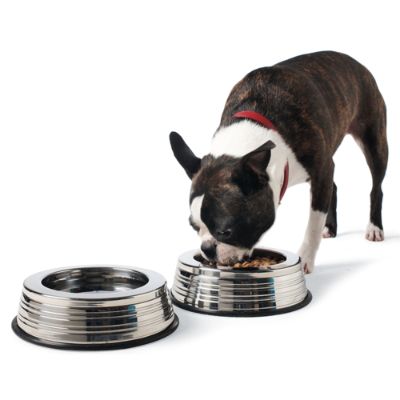 Frontgate dog bowls best sale