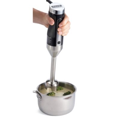 Viking Immersion Blender