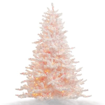 White Cascades Fir Christmas Tree | Frontgate