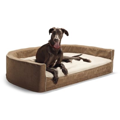Pawpedic Pet Mattress with Cover Frontgate