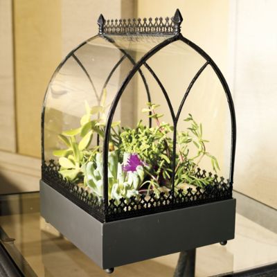 Viceroy Tabletop Terrarium Frontgate
