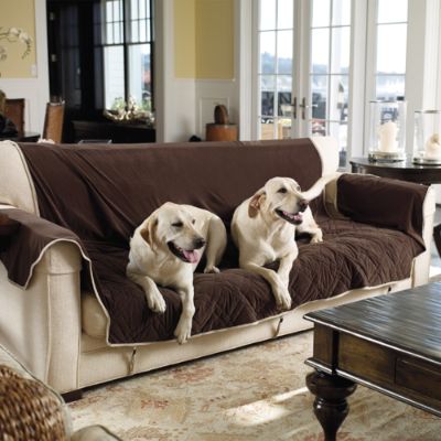 Frontgate dog couch sale
