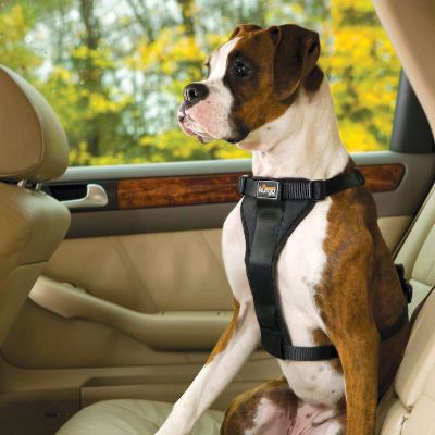 TruFit Smart Harness with Seat Belt Loop Frontgate