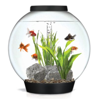 BiOrb Aquariums | Frontgate