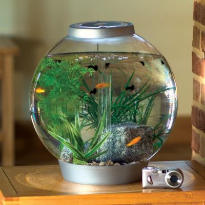 Mini BiOrb 4-gallon Aquarium | Frontgate