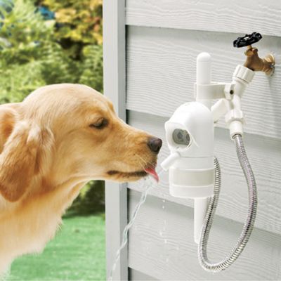 Outside dog water fountain best sale